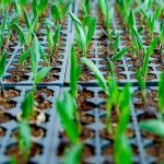 Acelen and Finboot sign biofuel traceability partnership for Brazilian SAF project